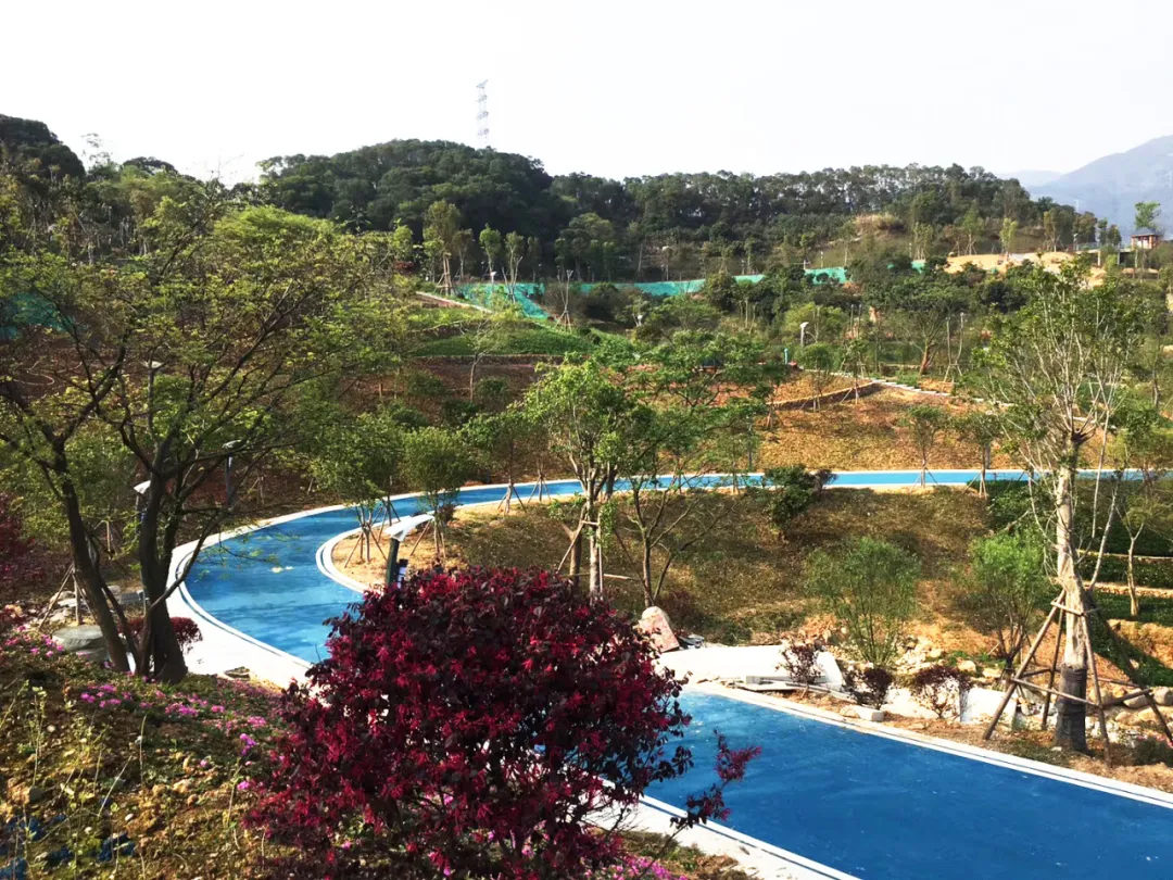 “高顏值”步道、山野情趣、天然氧吧……相約五月來長(zhǎng)樂這座公園攬城觀景吧！
