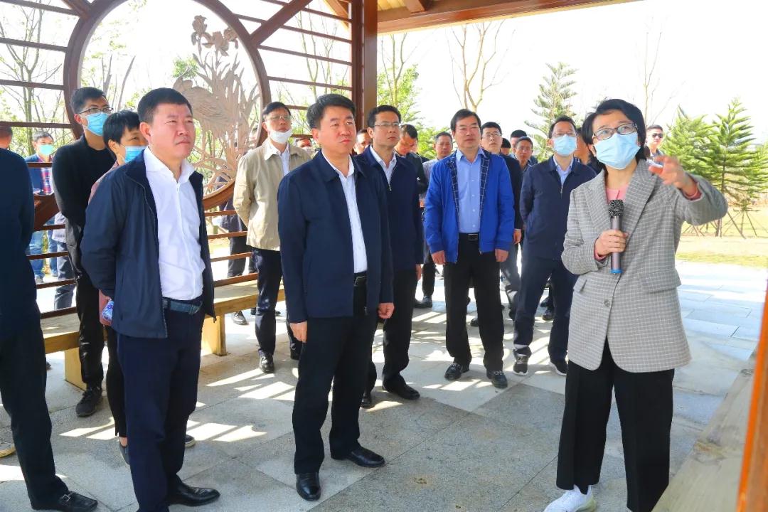 我區(qū)開展“美麗長樂”大行動學習考察活動