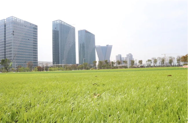 好消息！長樂這個公園即將投用，時間就在……