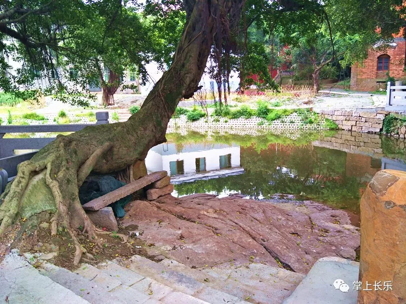 幸福家園入畫來(lái)！長(zhǎng)樂(lè)這個(gè)革命老區(qū)村清新古樸煥新顏