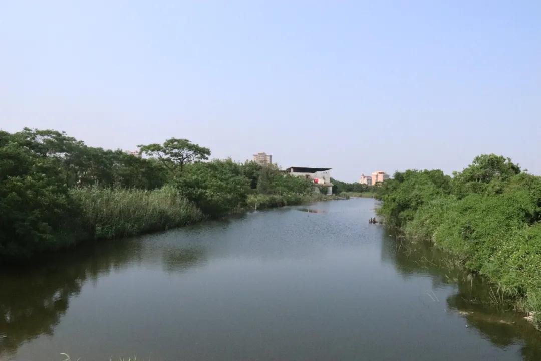 預(yù)計(jì)年底通車！老城新城快速通道建設(shè)加速