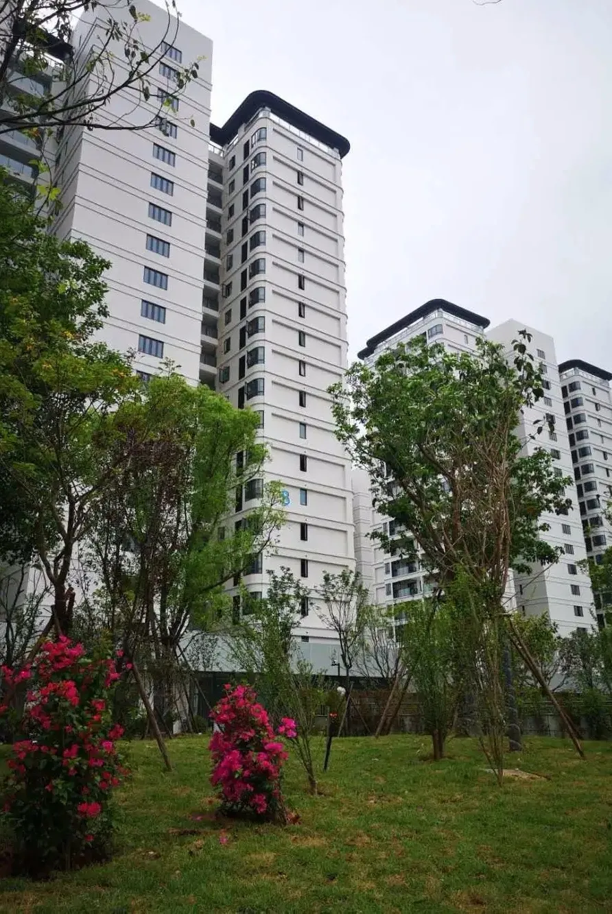 拎包入住！濱海新城租賃住房一期項目全部啟用
