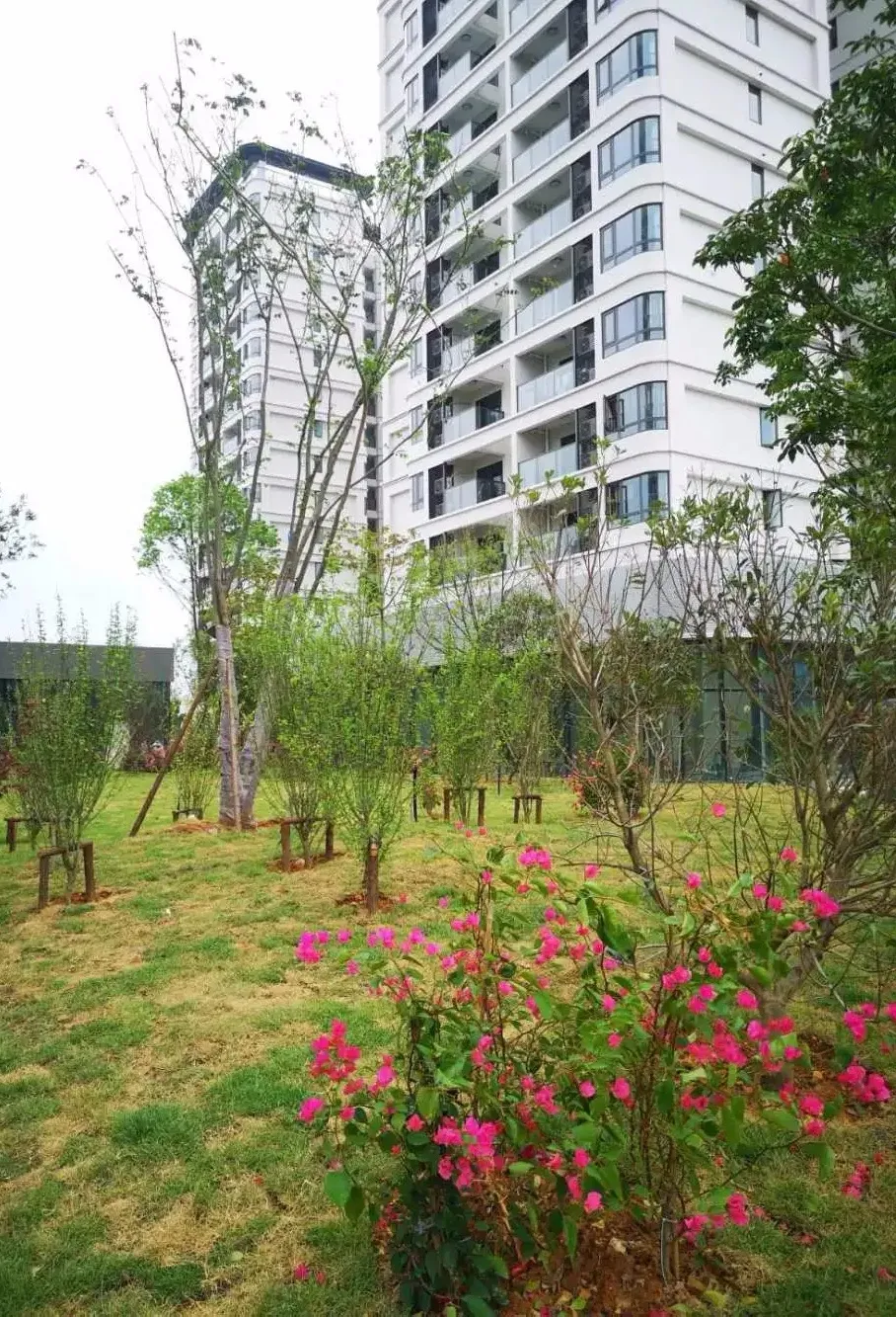 拎包入住！濱海新城租賃住房一期項目全部啟用