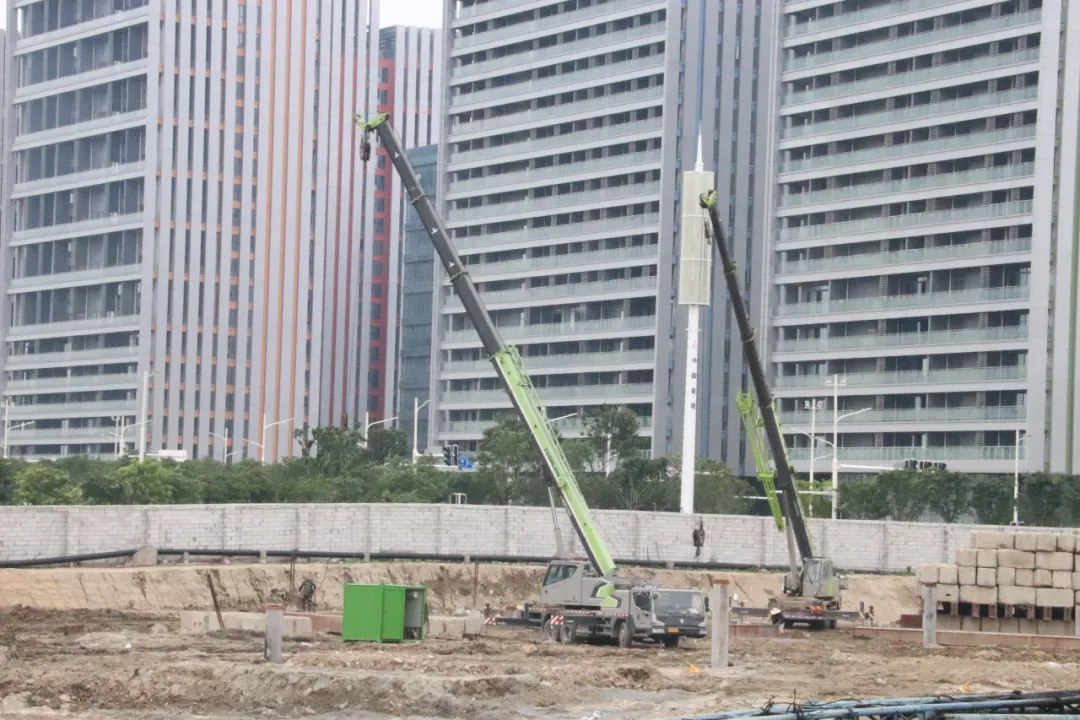 濱海新城這一項目最新消息來啦！