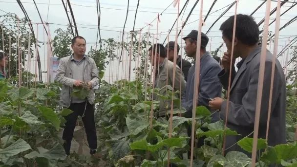 長(zhǎng)樂(lè)漳縣扶貧協(xié)作助農(nóng)脫貧致富