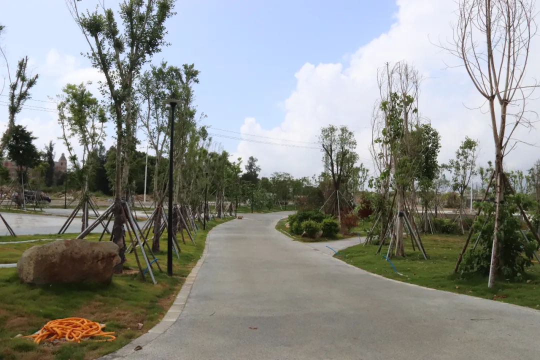 好消息！濱海新城體育公園即將建成！