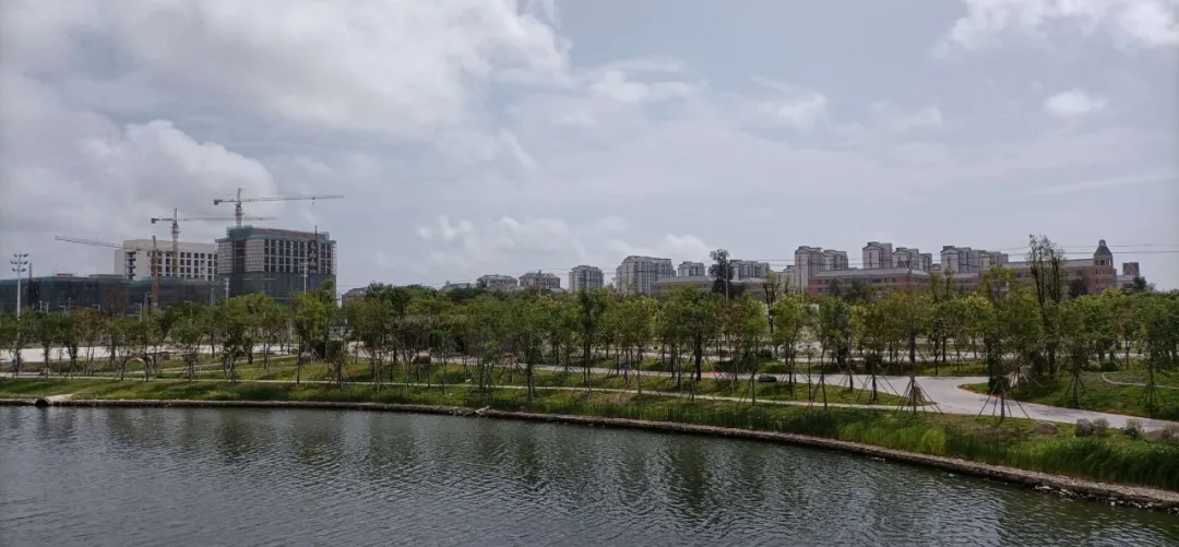 好消息！濱海新城體育公園即將建成！