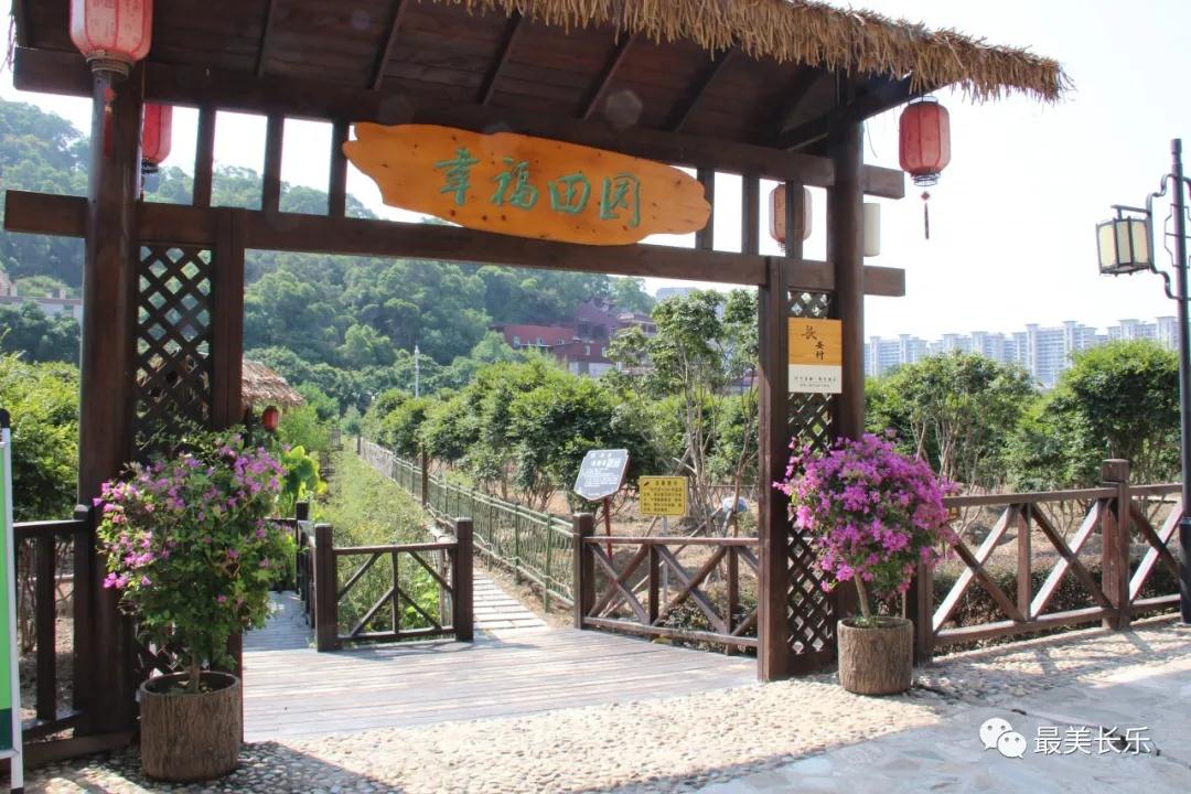 點(diǎn)贊！新華社今天報(bào)道了長樂這個(gè)美麗鄉(xiāng)村