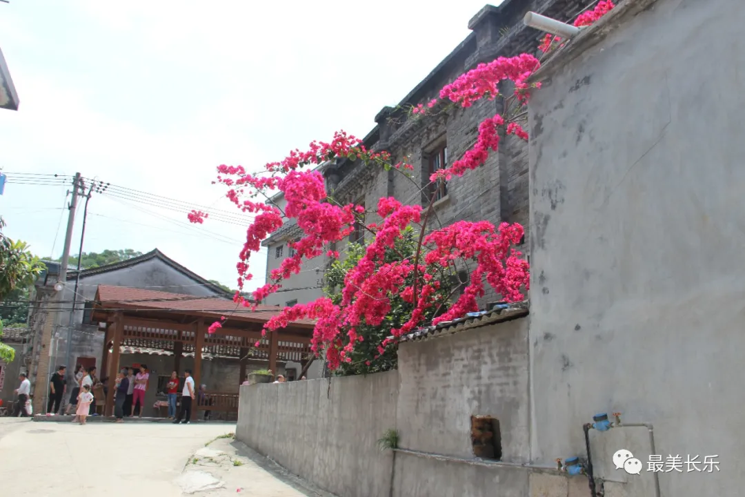 長樂：育新機譜新篇 奏響新時代新城建設之歌
