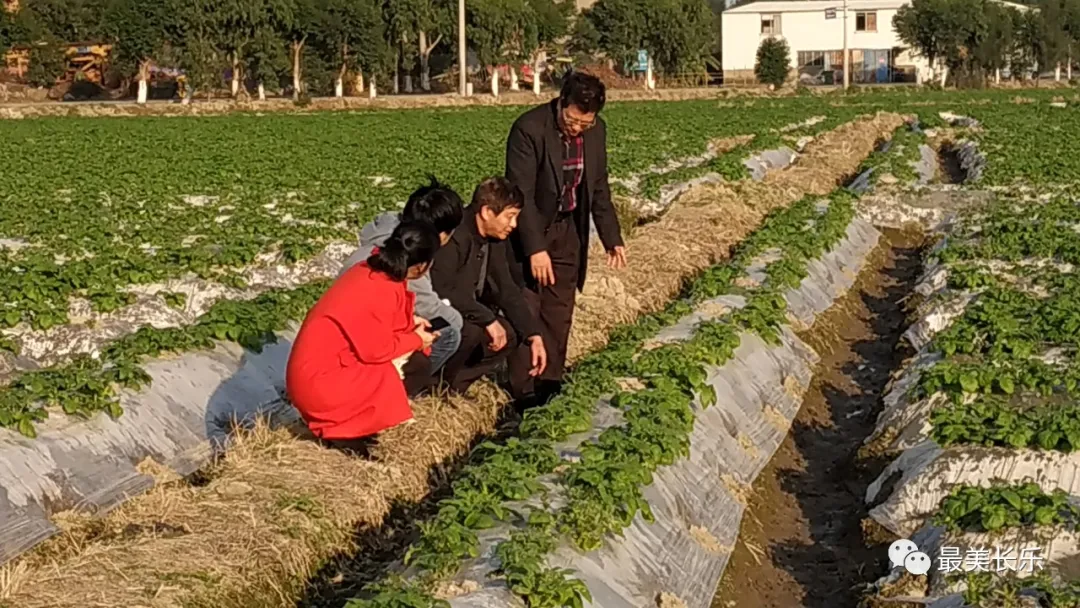 專家田間支招！寒潮來襲，農(nóng)作物防寒抗凍這樣做！
