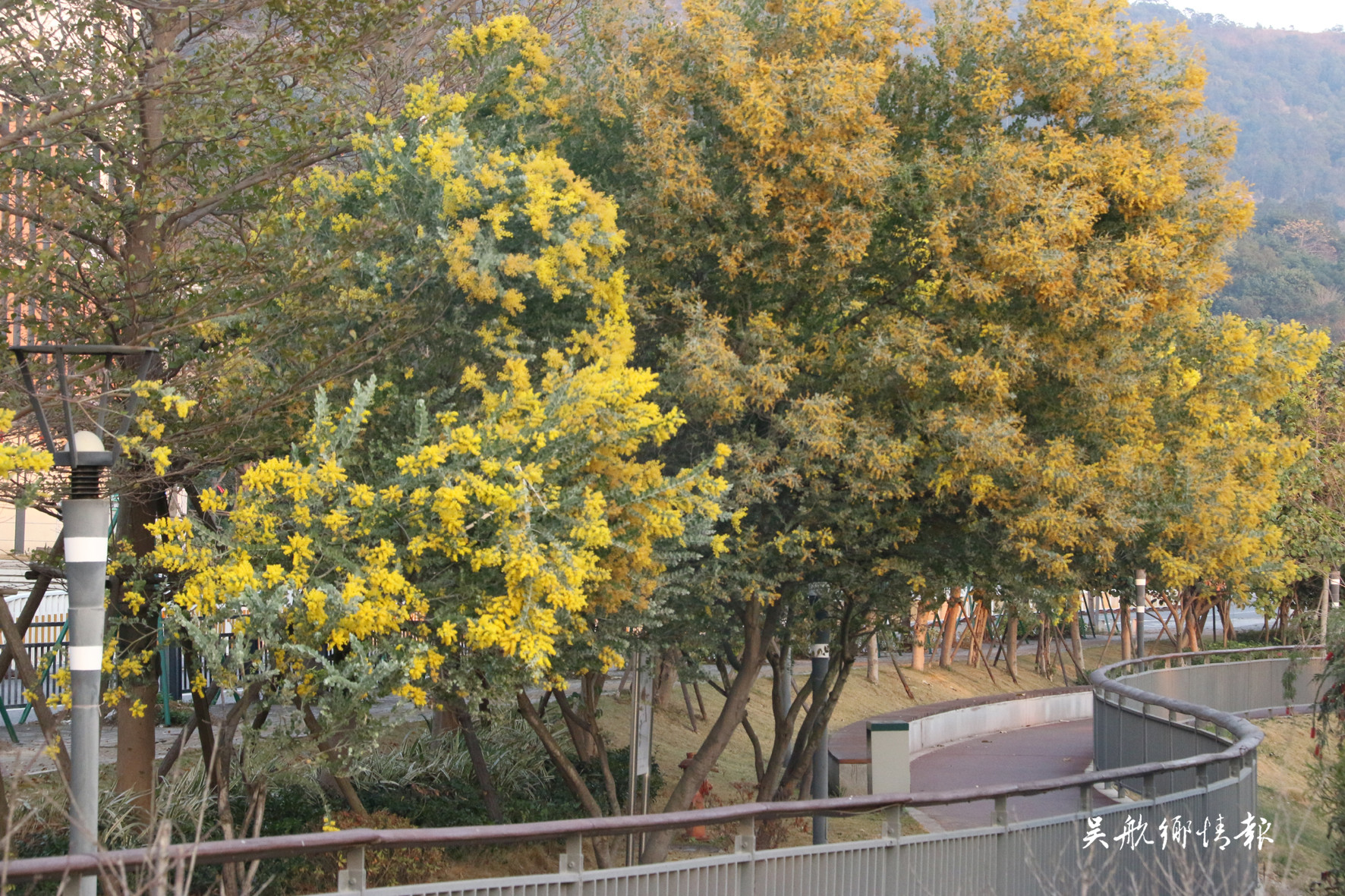  冬去千山醒 春來百花開