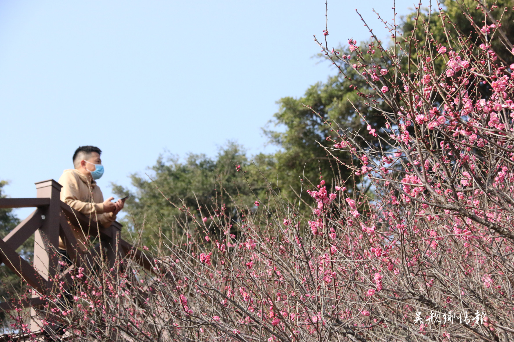 冬去千山醒 春來百花開