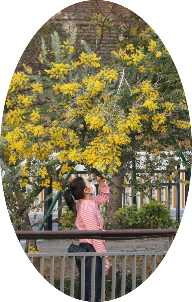  冬去千山醒 春來百花開