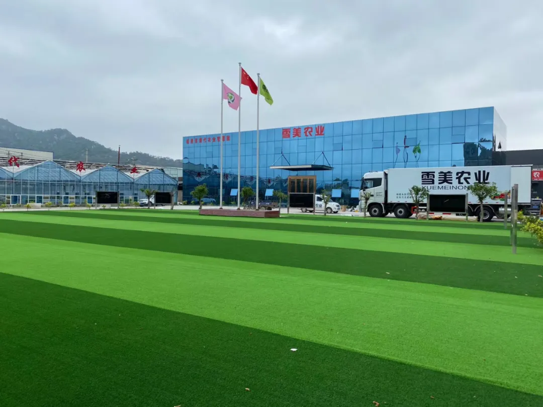 雪美農(nóng)業(yè)：數(shù)字賦能 全國布局 構(gòu)建全年無休供應鏈