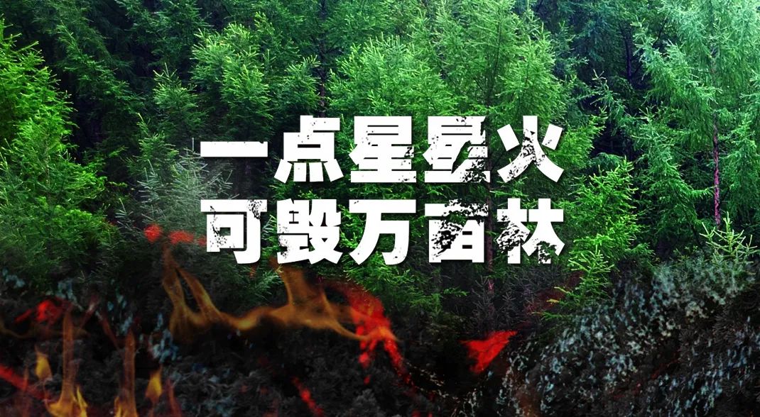 【網(wǎng)絡(luò)中國(guó)節(jié)?清明】森林防火靠大家，清明祭掃須警惕
