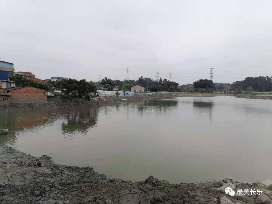 長樂鄉(xiāng)賢在行動 共護河湖暢美