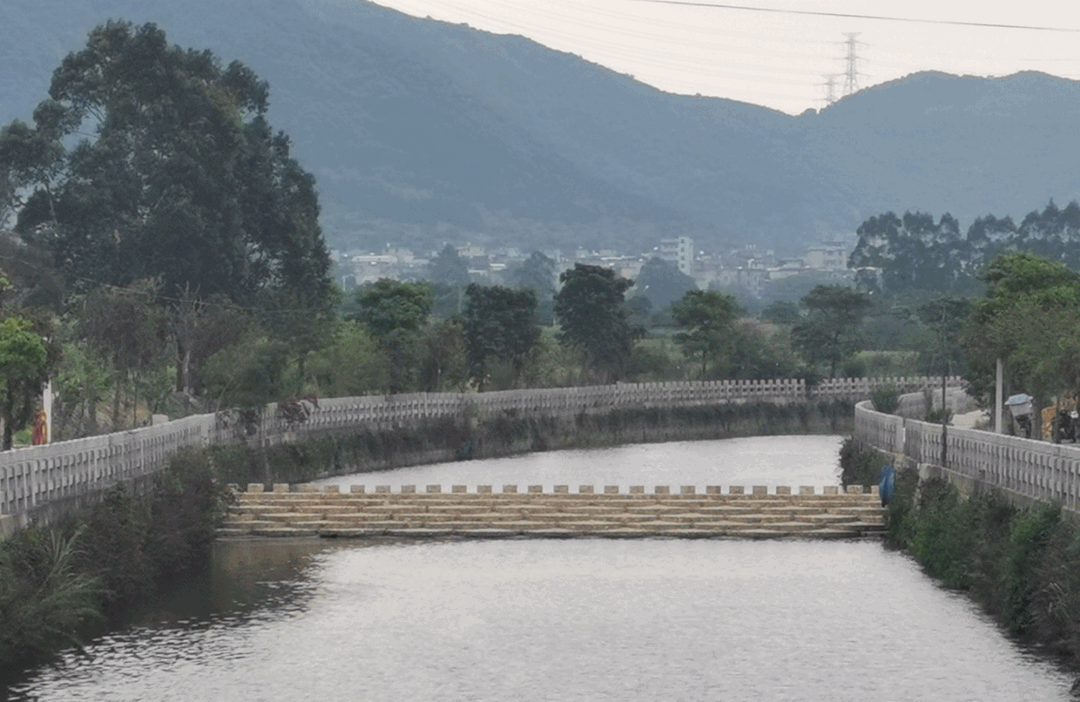 長樂鄉(xiāng)賢在行動 共護河湖暢美