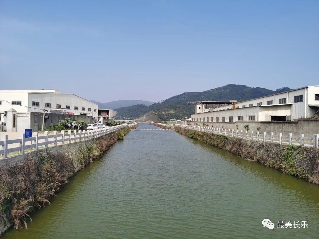 長樂鄉(xiāng)賢在行動 共護河湖暢美