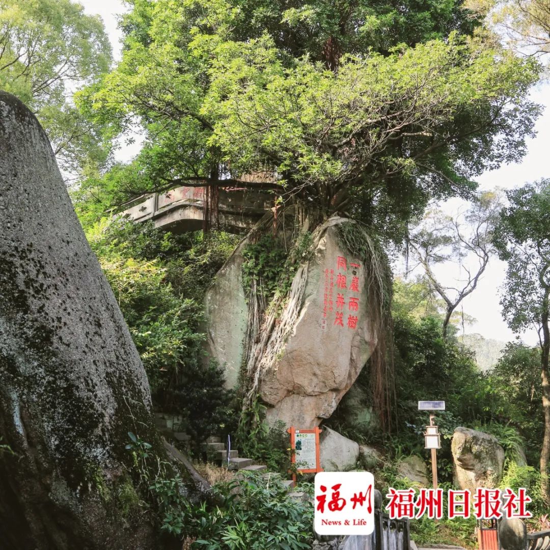賞美景、品文化、吃美食 ......輕舟下猴嶼，平步上青云