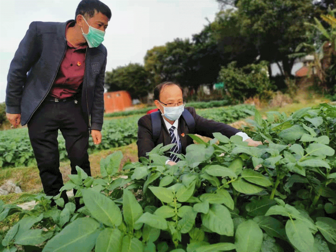 學(xué)黨史，辦實事，這家銀行金融服務(wù)有溫度