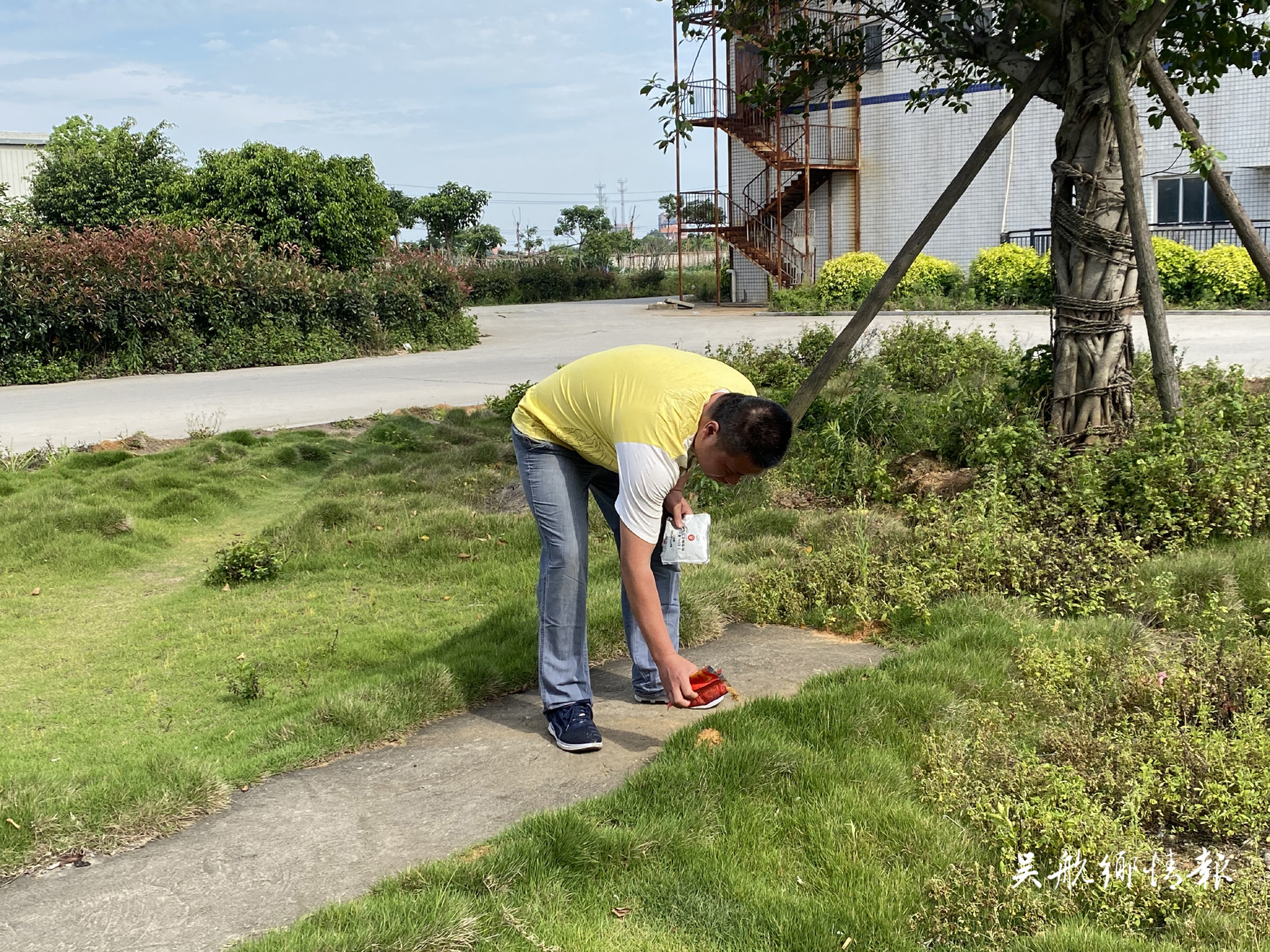 紅火蟻進(jìn)入活躍期 市民出行注意防范