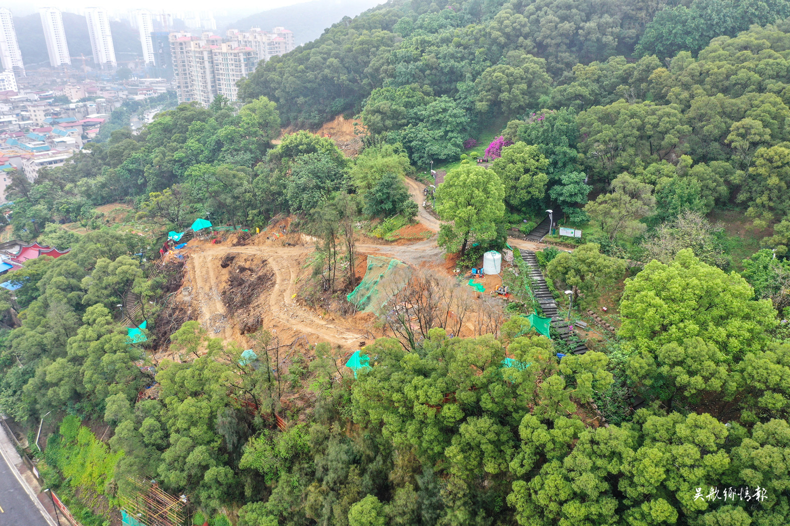 南山生態(tài)公園將實(shí)現(xiàn)全程無障礙游覽