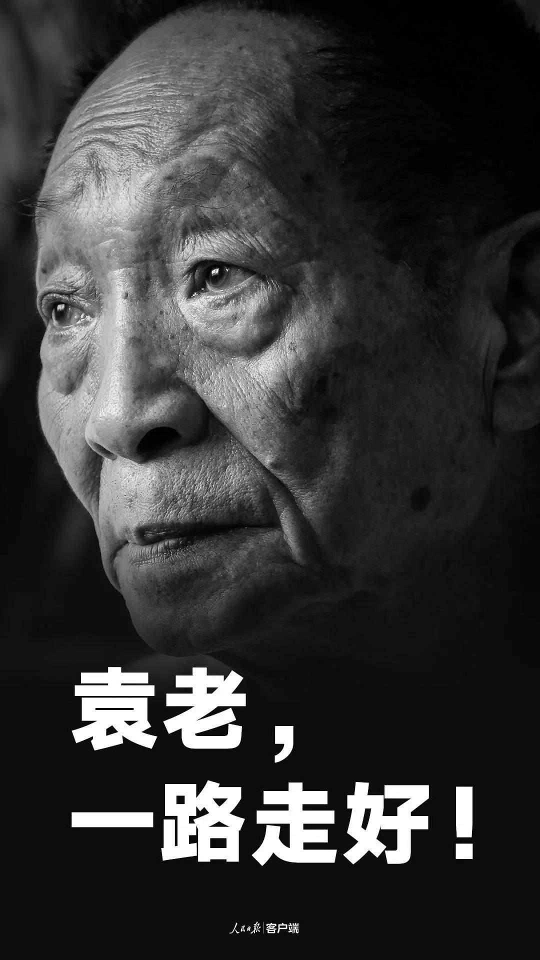 痛悼！袁隆平逝世，享年91歲
