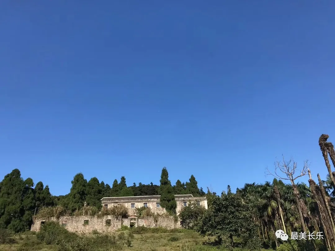 【紅色基地】龍卷墓農(nóng)場(chǎng)：閩中抗日游擊隊(duì)堅(jiān)強(qiáng)的后勤保障