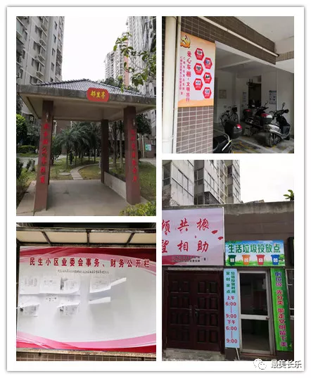“紅色業(yè)委會”： 凝聚奮進(jìn)力量 繪就美麗社區(qū)