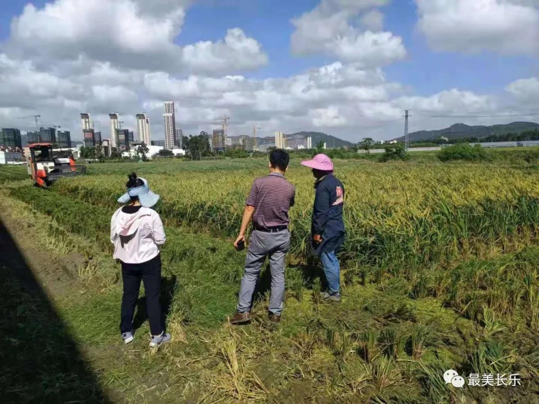 長樂：5900多名干部堅守 筑起抵御風(fēng)雨“鋼鐵防線”