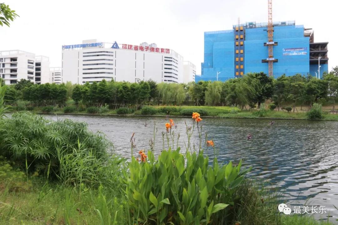 大東湖畔起新城 精彩蝶變綻繽紛 ——濱海新城四年多時光造就沉甸甸成績單