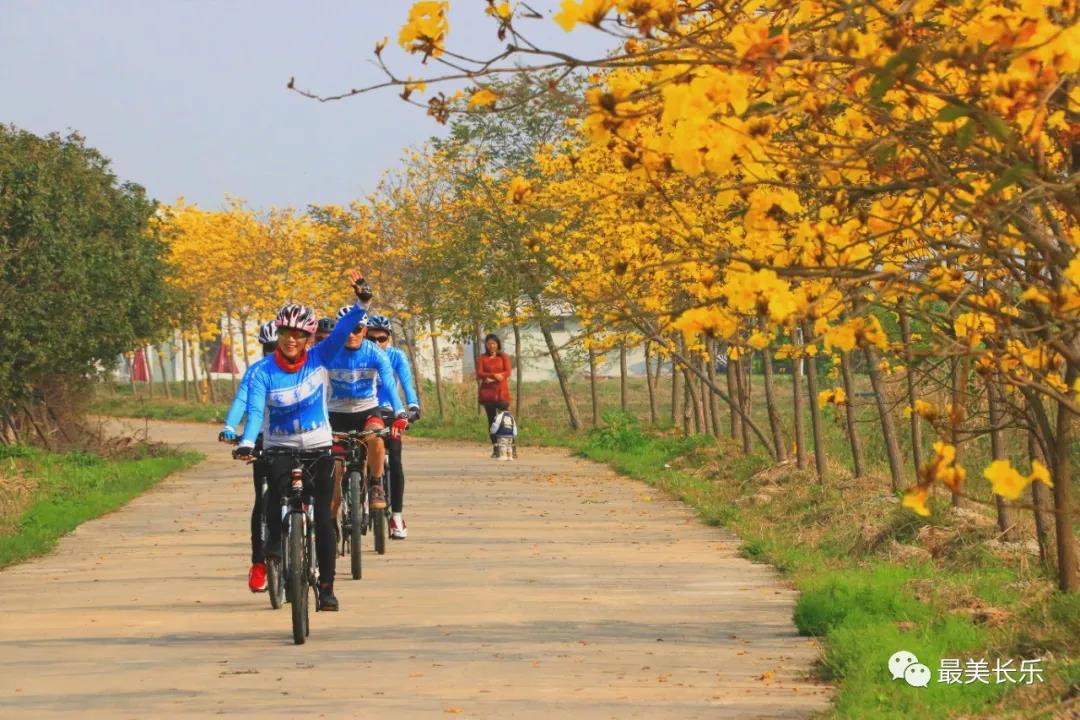 祝賀！區(qū)文化體育和旅游局獲評全國群眾體育先進(jìn)單位