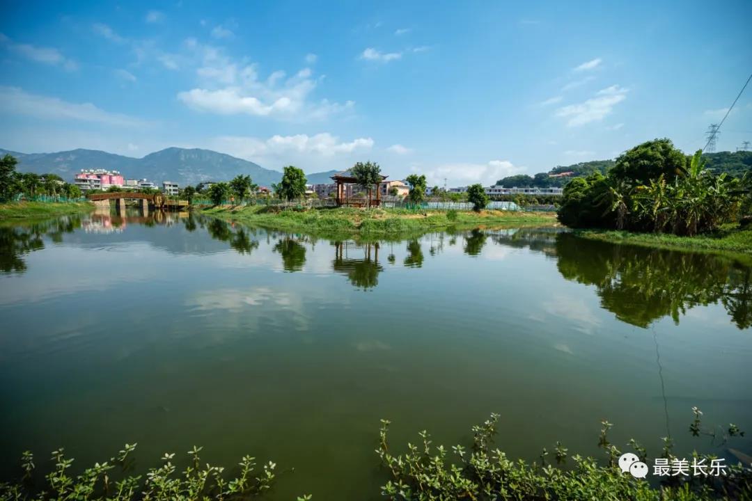 長樂：錘煉作風(fēng)謀發(fā)展 靶向施策聚動能