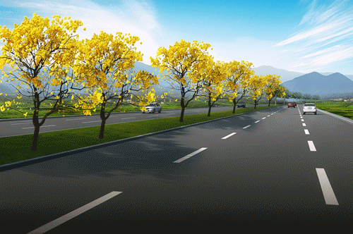 營濱路部分路段計劃9月底實現(xiàn)通車
