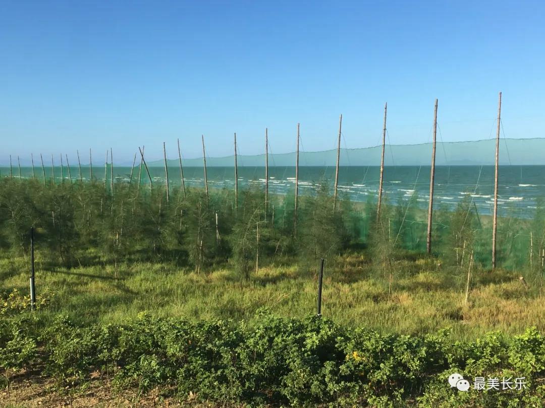 濱海新城森林城市景觀帶項(xiàng)目二期即將完工