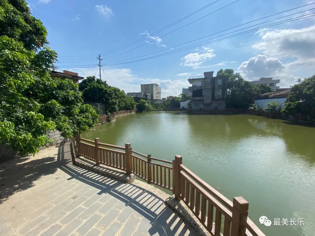 “甘薯之父”陳振龍故居周邊景觀提升工程一期完工