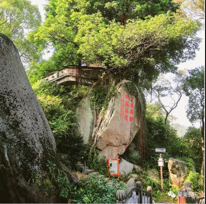 7大文旅攻堅(jiān)項(xiàng)目落成揭牌！國慶假期，我在猴嶼等你來~