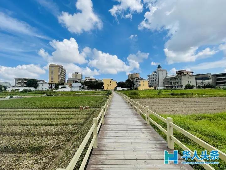 嶼北村：“一村十園”綠色生態(tài)景，道不盡殷殷桑梓情