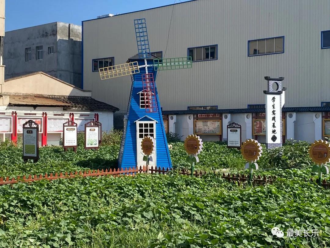 觀賞、休閑、體驗......龍?zhí)锎逖袑W(xué)基地年底將投入使用