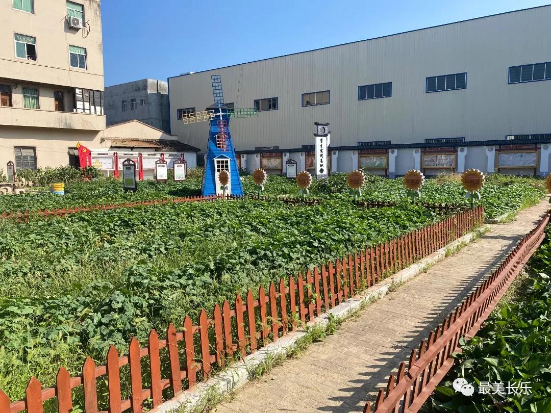 觀賞、休閑、體驗......龍?zhí)锎逖袑W(xué)基地年底將投入使用