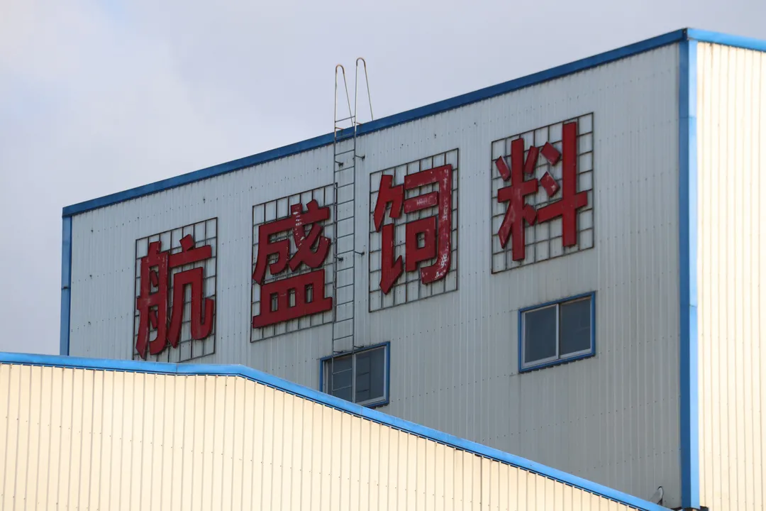 提品質(zhì)，拓市場(chǎng)！長(zhǎng)樂(lè)這家公司這樣做……