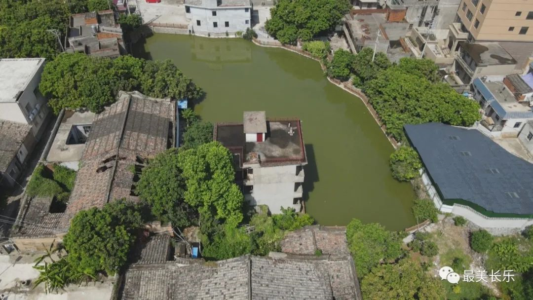 讓“土疙瘩”變“金豆豆” 鶴上鎮(zhèn)擦亮“番薯”金招牌