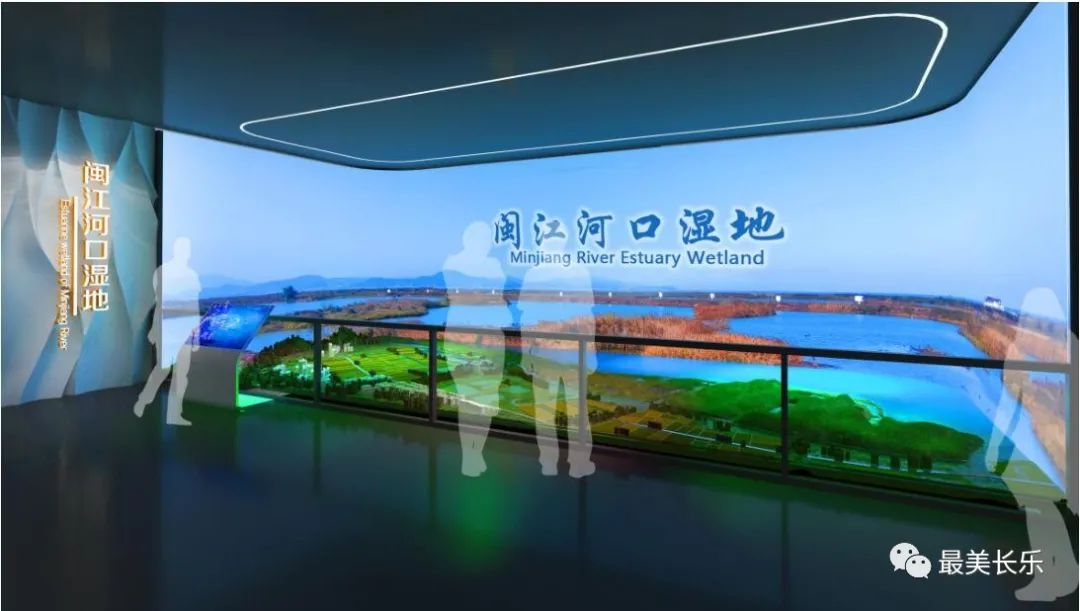 期待！閩江河口濕地博物館有大變化，游客將迎全新體驗(yàn)