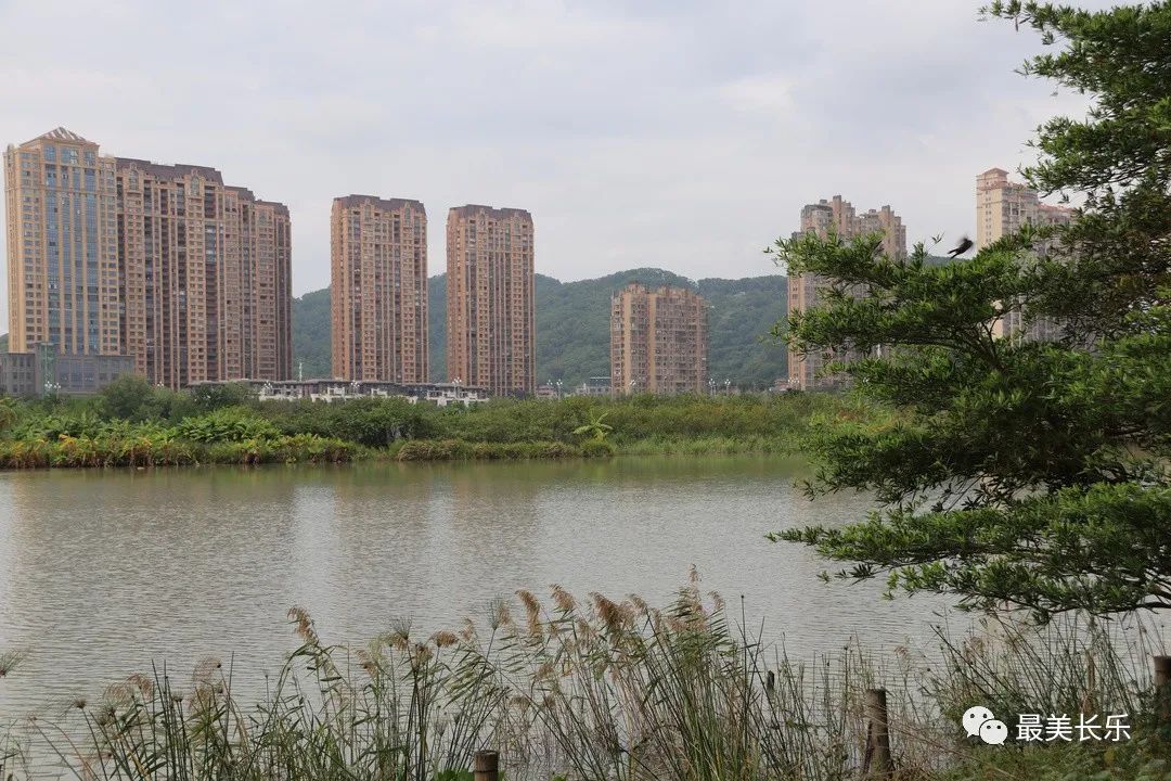 “河長助理”助力河長制 守護(hù)一方碧水