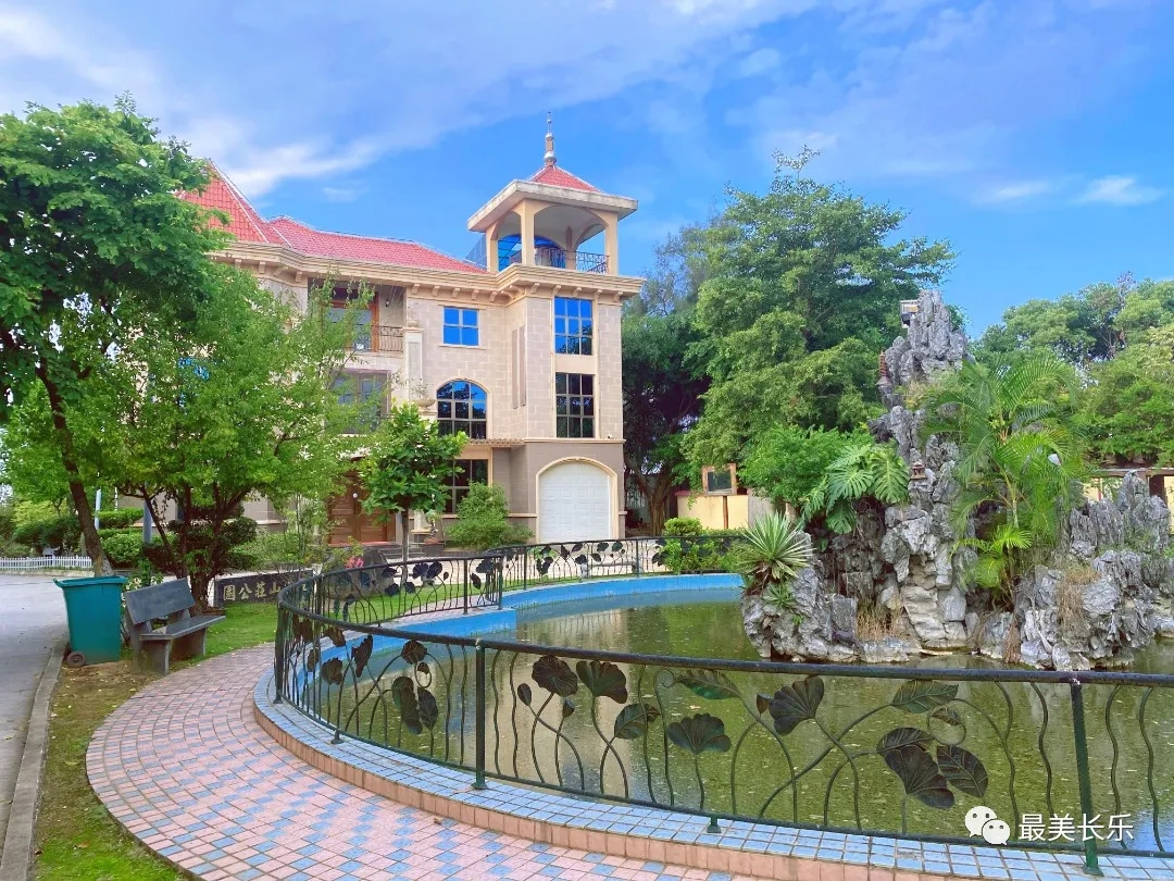 仙高村：發(fā)展高效農業(yè)種植 帶動群眾增收致富