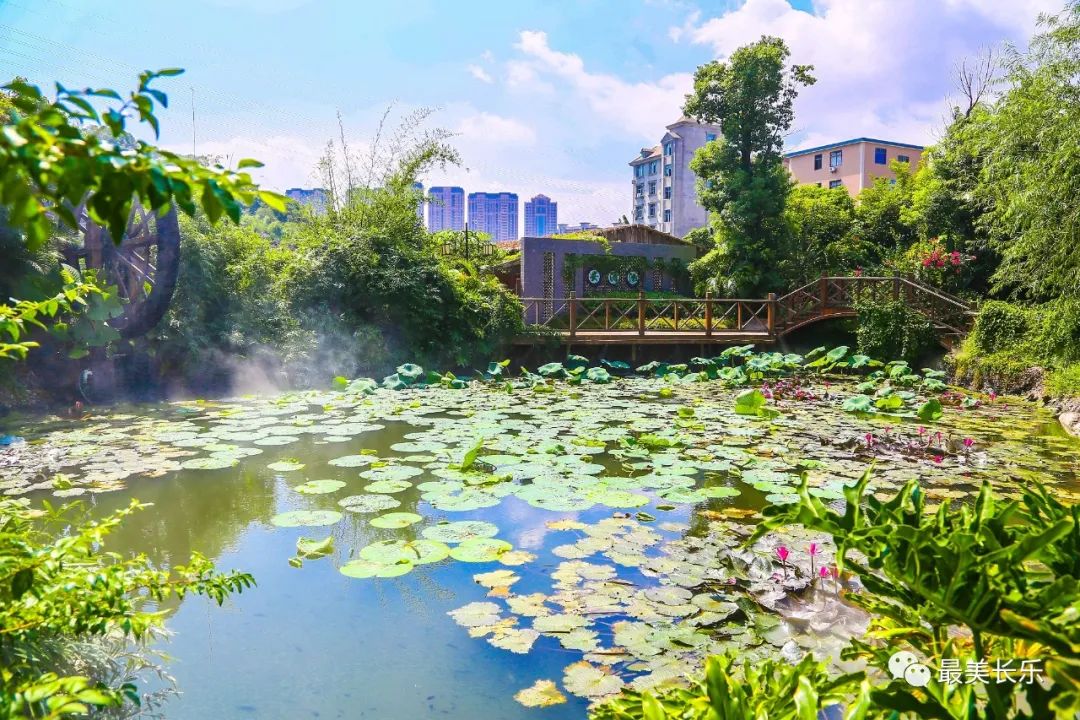 首屆長(zhǎng)安農(nóng)民文化藝術(shù)節(jié)精彩紛呈！你參加了嗎？