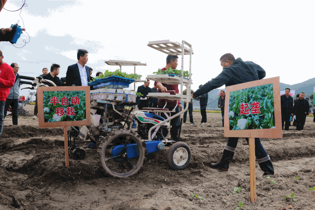 補貼助力農(nóng)機“快跑” 農(nóng)戶田間亮絕活