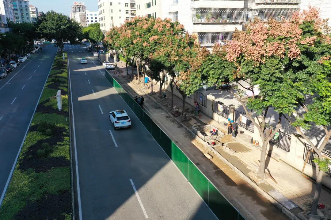 朝陽路：路燈改造暖民心 點(diǎn)亮居民回家路