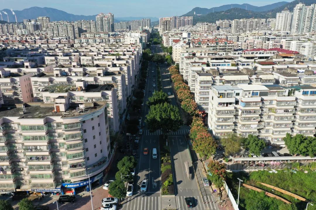 朝陽路：路燈改造暖民心 點(diǎn)亮居民回家路