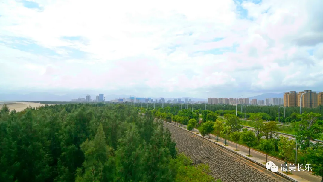 守護(hù)多樣之美 共建美麗海灣